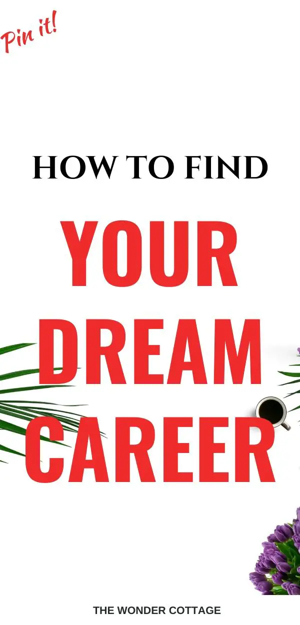 how do you find your dream career