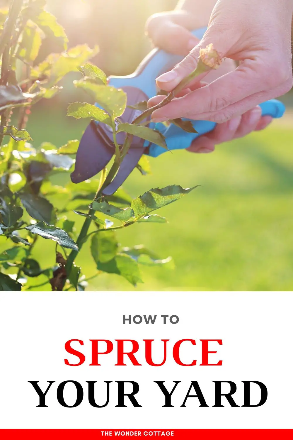 ways to spruce your yard