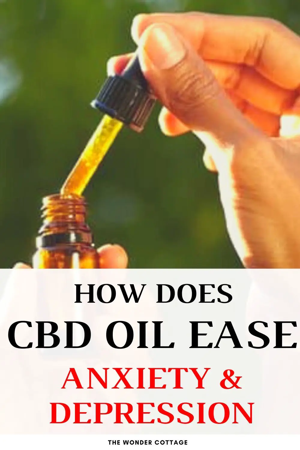 how does cbd oil ease anxiety