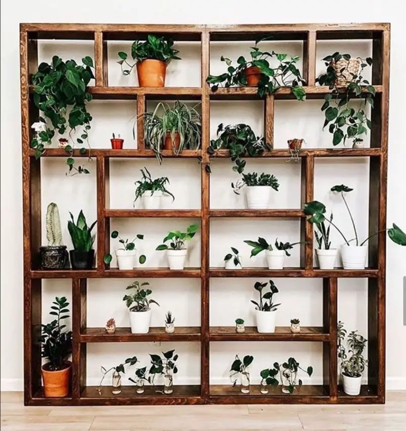 30+ Indoor Jungle Plants Decor For The Plant Lover - The Wonder Cottage