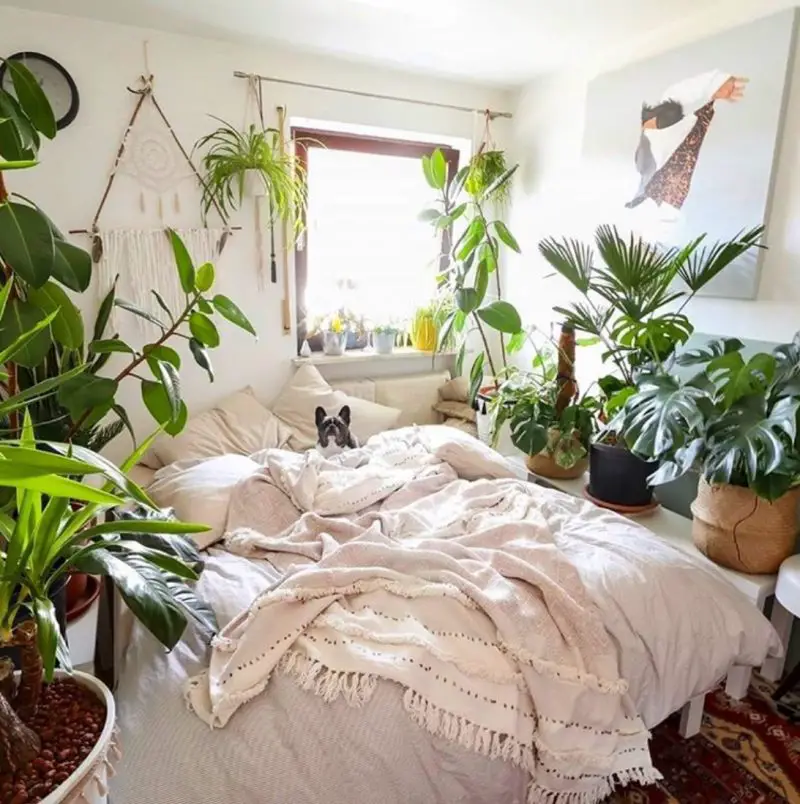 30+ Indoor Jungle Plants Decor For The Plant Lover - The Wonder Cottage