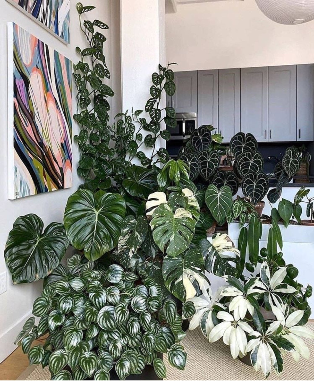 indoor jungle