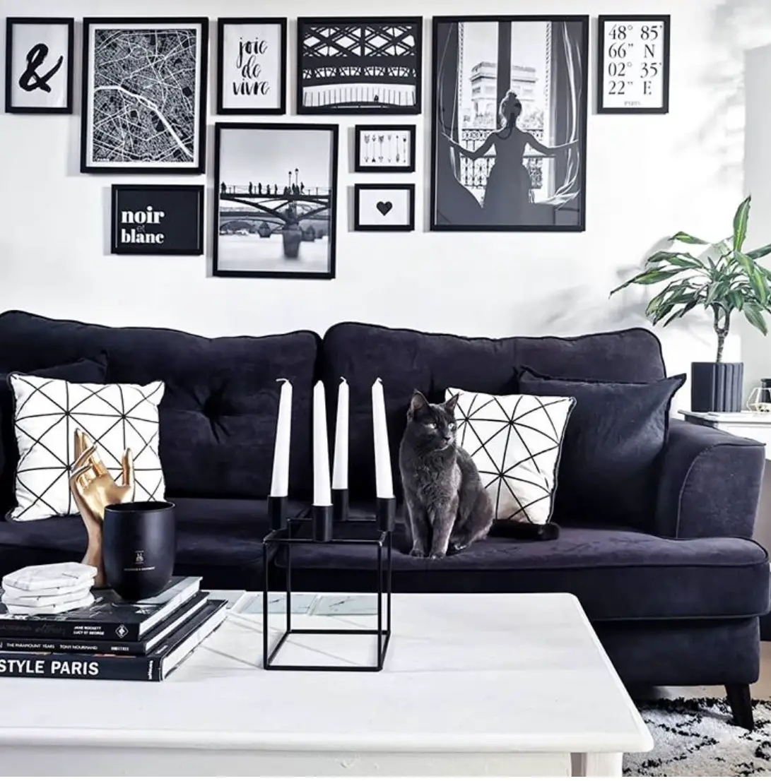 black and white living room decor