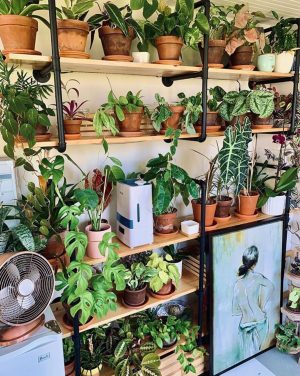 50+ Plant Shelf Ideas For Your Home - The Wonder Cottage