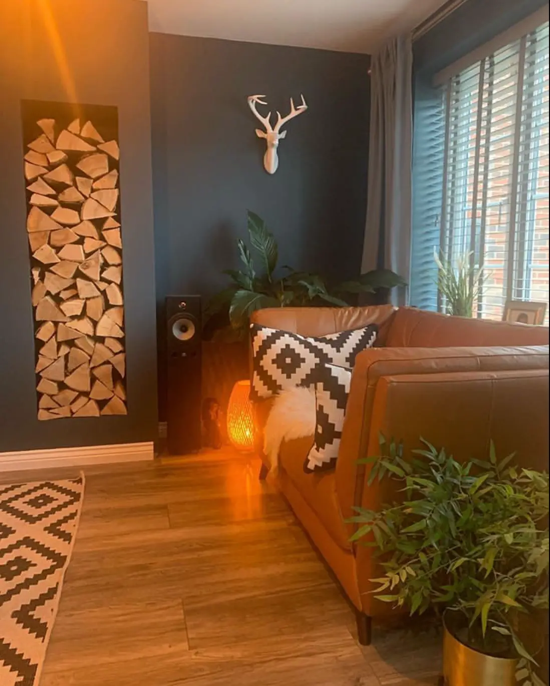 living room plant decor