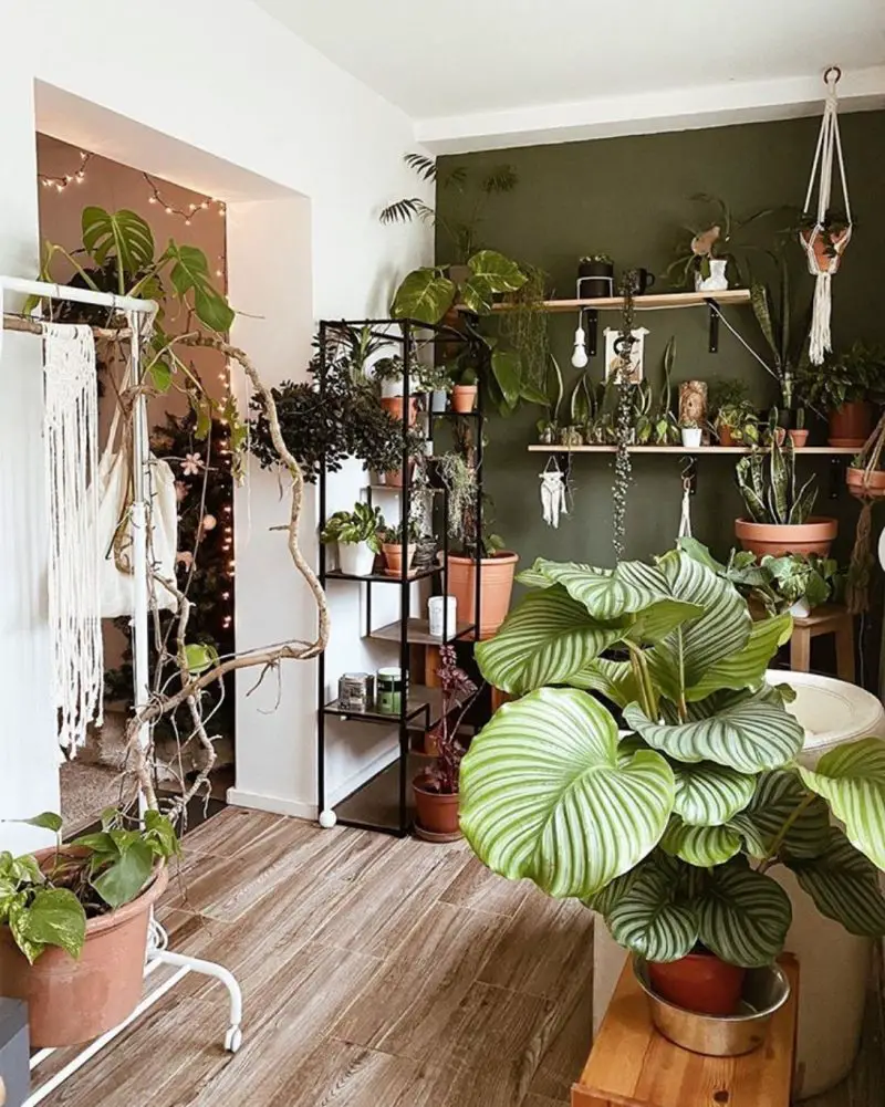 50+ Plant Shelf Ideas For Your Home - The Wonder Cottage