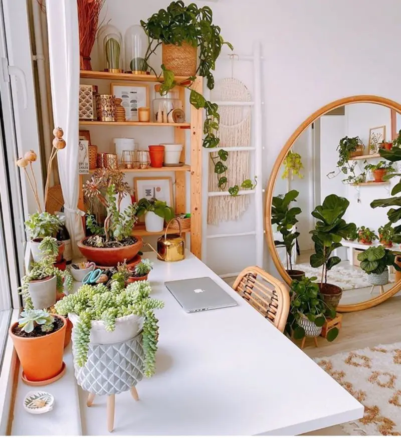 50+ Plant Shelf Ideas For Your Home - The Wonder Cottage