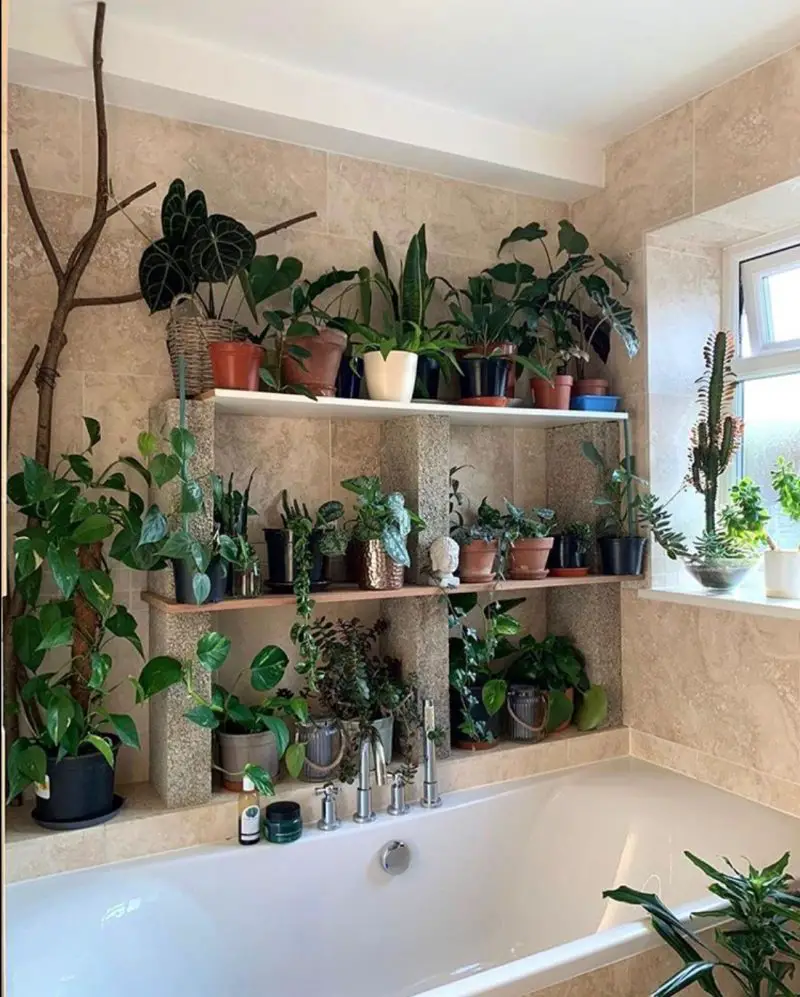 50+ Plant Shelf Ideas For Your Home - The Wonder Cottage