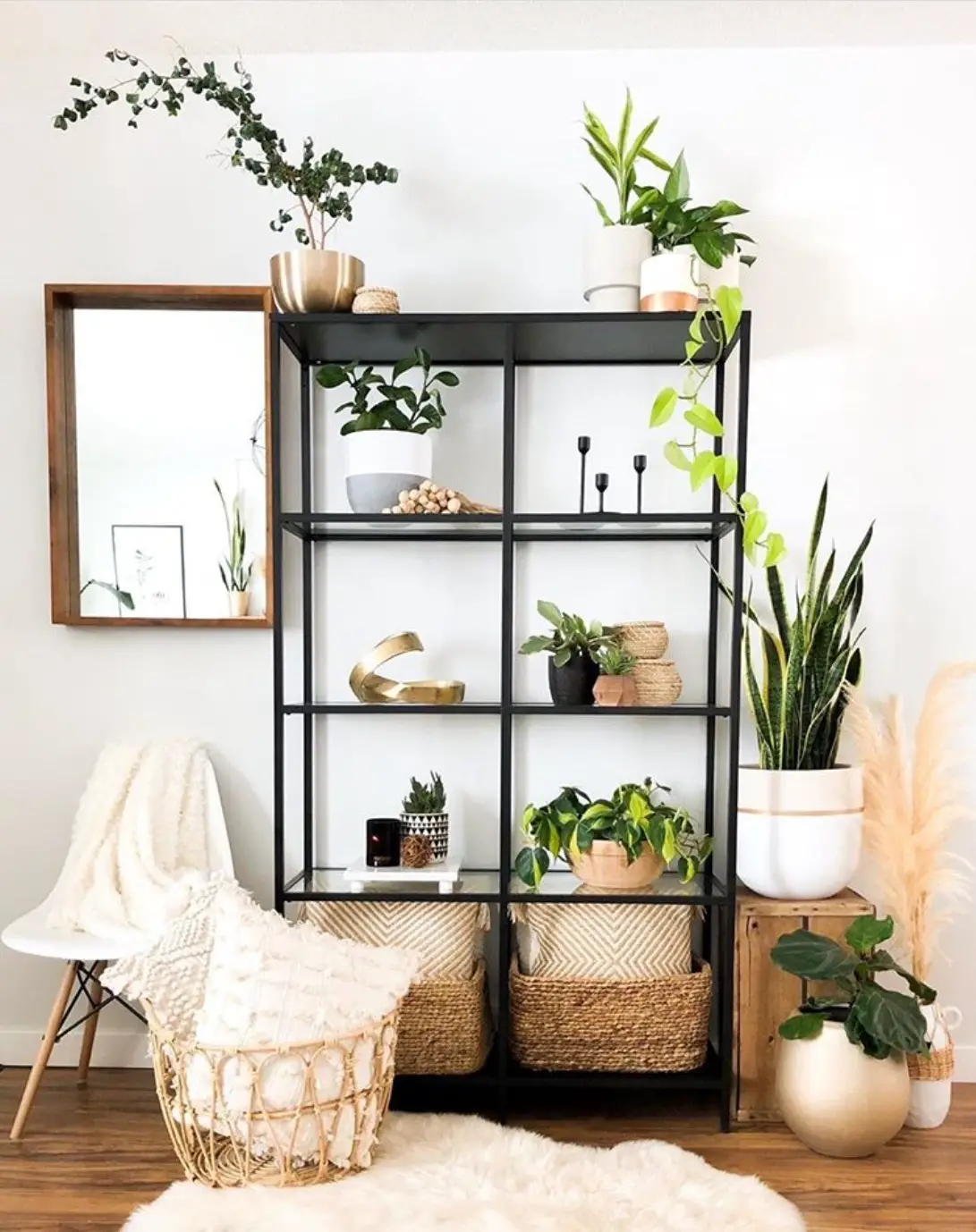 plant shelf ideas