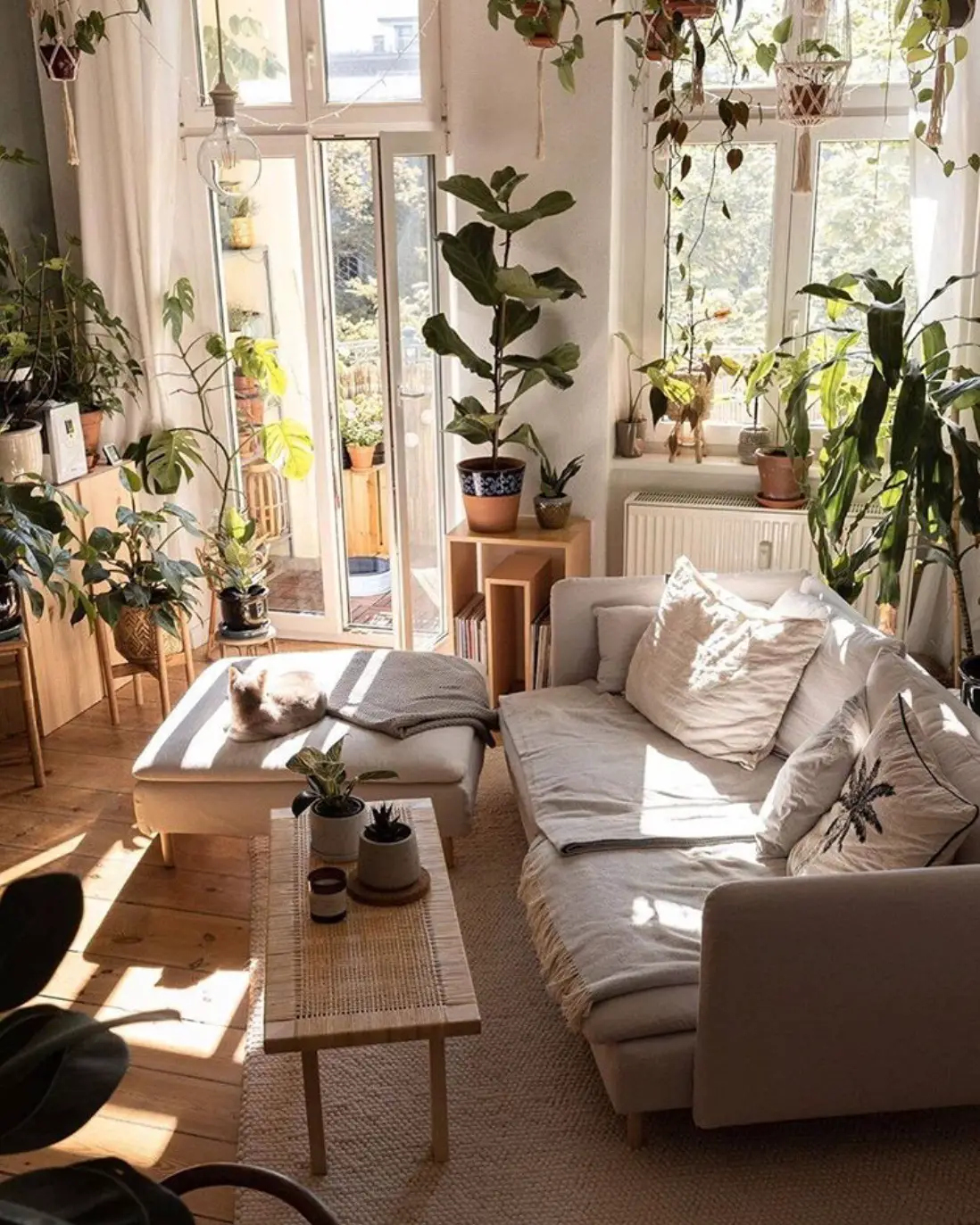 15 Elegant Ways To Decorate Your Living Room With Plants - The Wonder