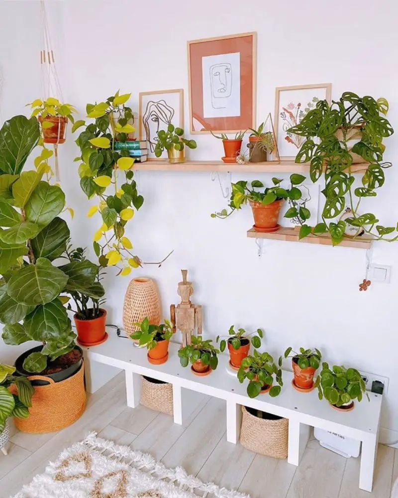 50+ Plant Shelf Ideas For Your Home - The Wonder Cottage