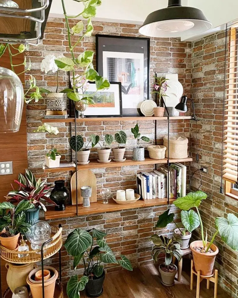 50+ Plant Shelf Ideas For Your Home - The Wonder Cottage