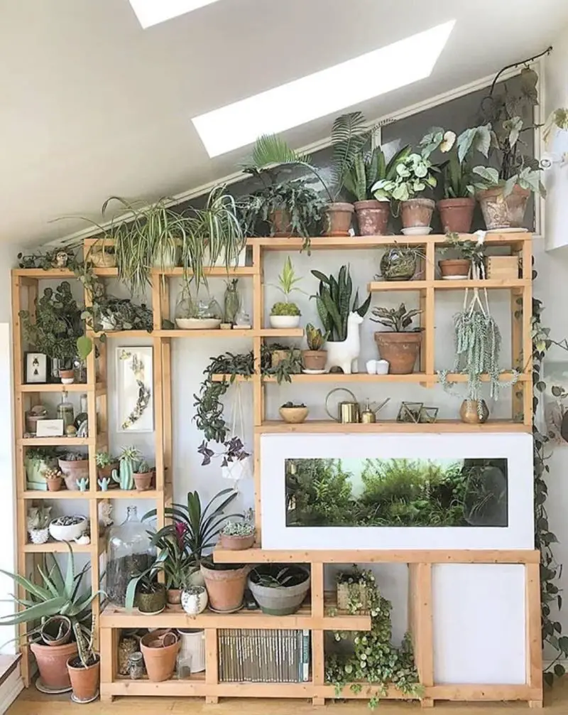 50+ Plant Shelf Ideas For Your Home - The Wonder Cottage