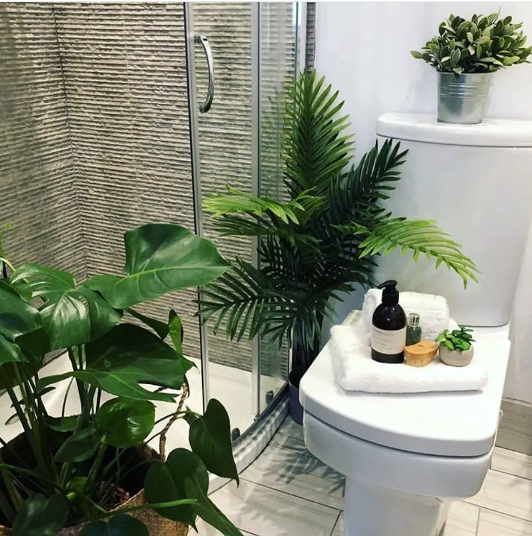 Decorate bathroom with plants 