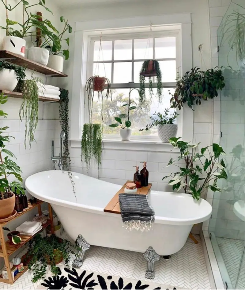 23 Elegant Ways To Decorate The Bathroom With Plants - The Wonder Cottage