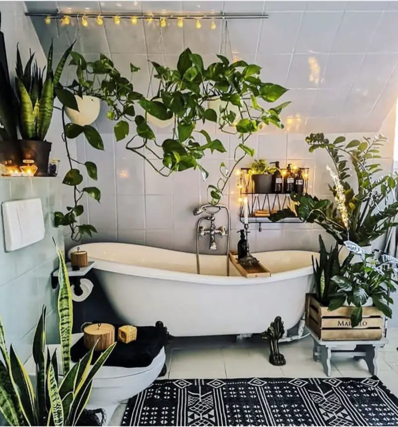 23 Elegant Ways To Decorate The Bathroom With Plants - The Wonder Cottage