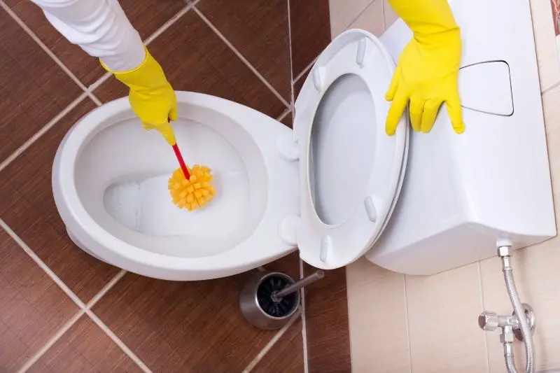 woman cleaning toilet bowl with brush