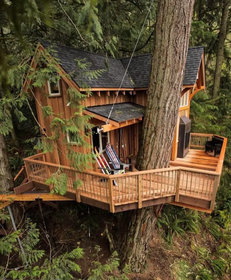 19 Amazing Tree House Designs You Should See - The Wonder Cottage