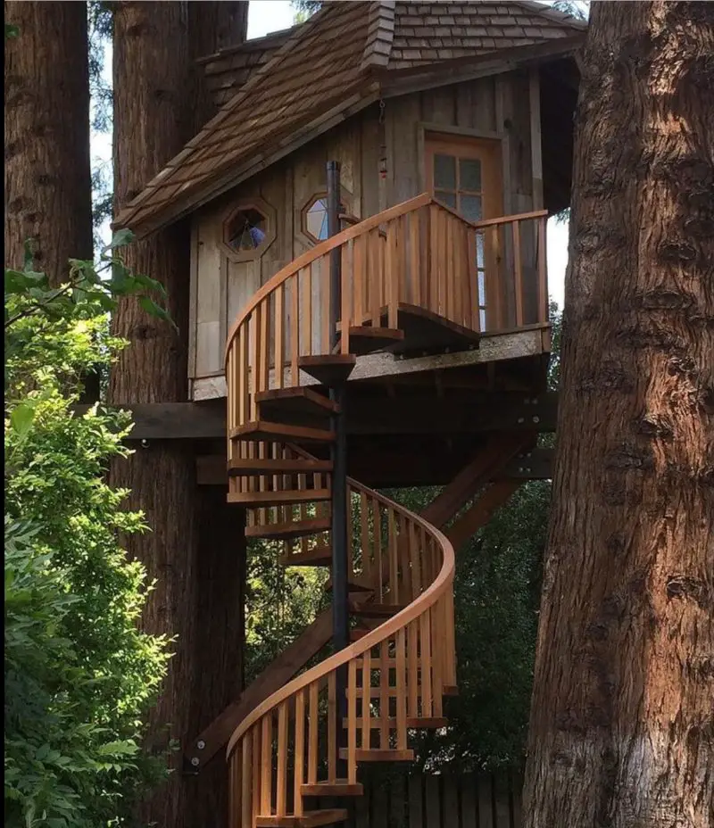19 Amazing Tree House Designs You Should See The Wonder Cottage