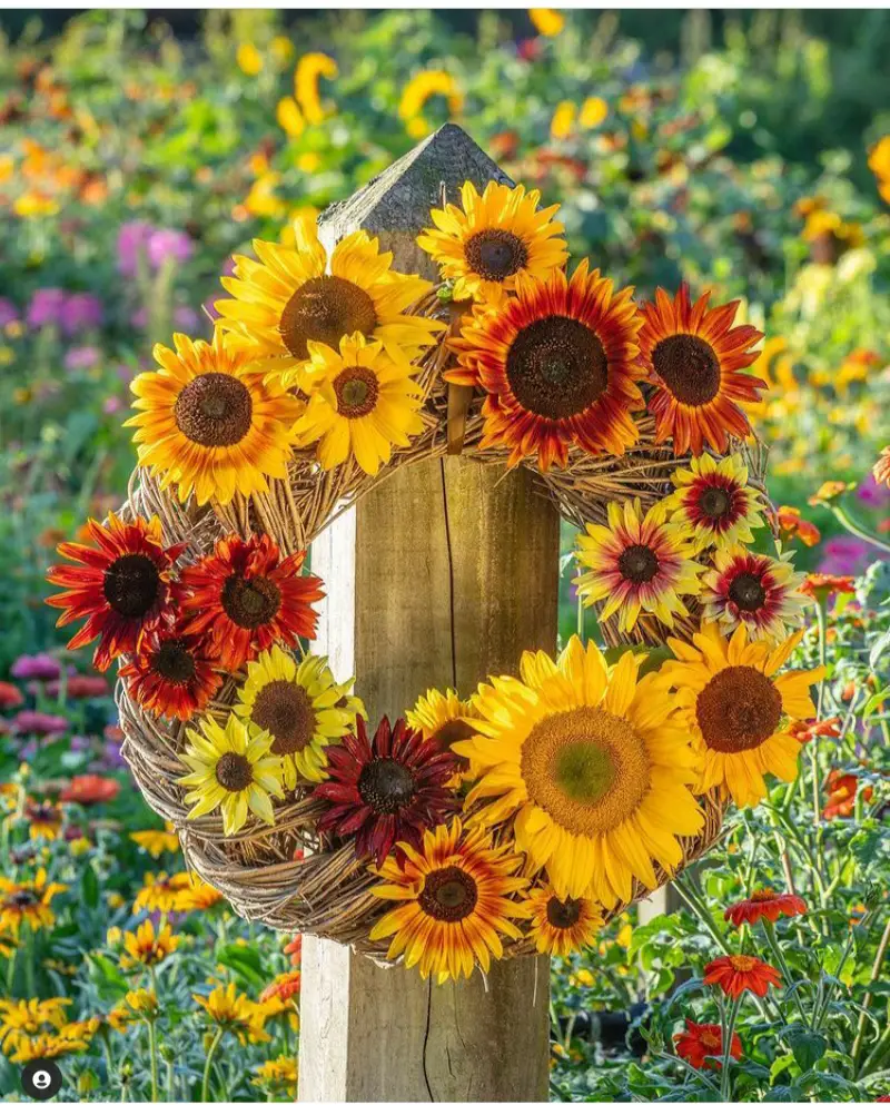 sunflower wreaths