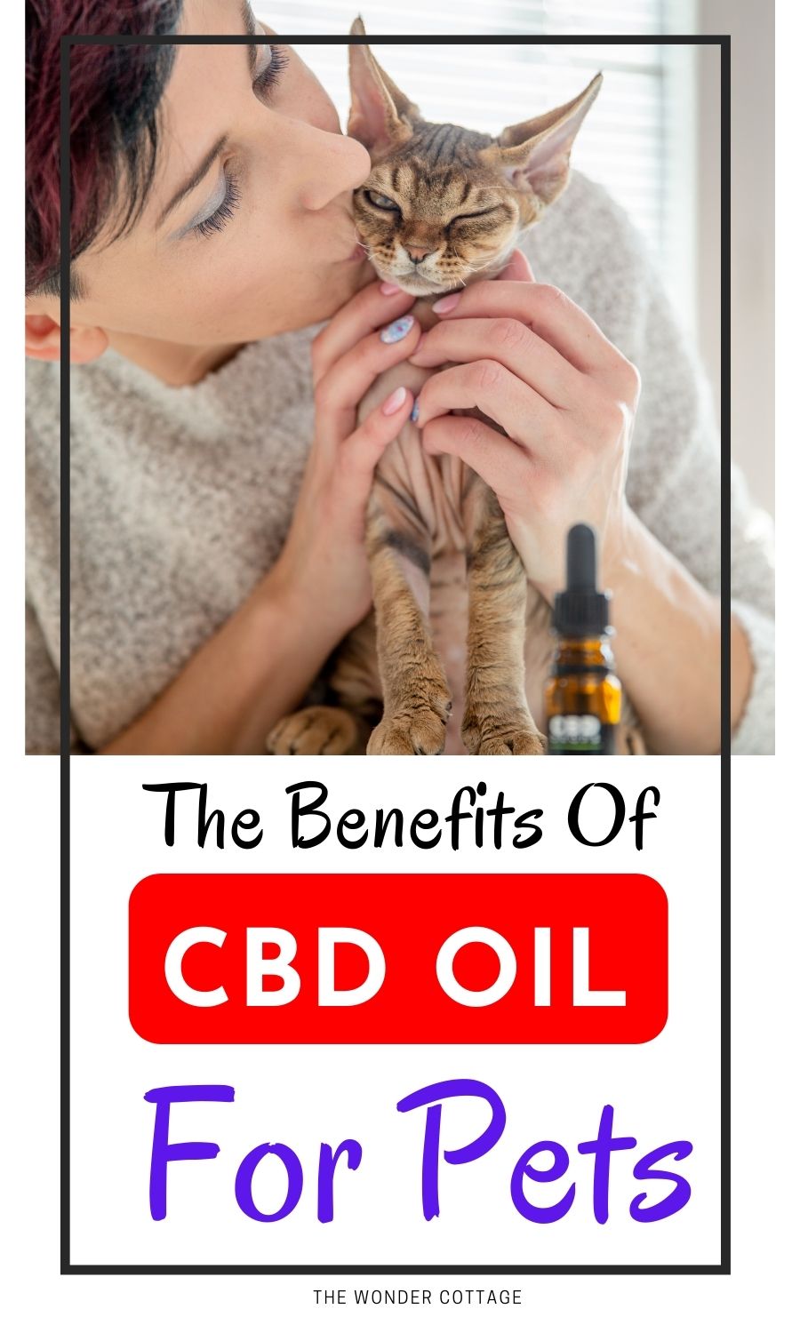 The benefits of CBD oi for pets