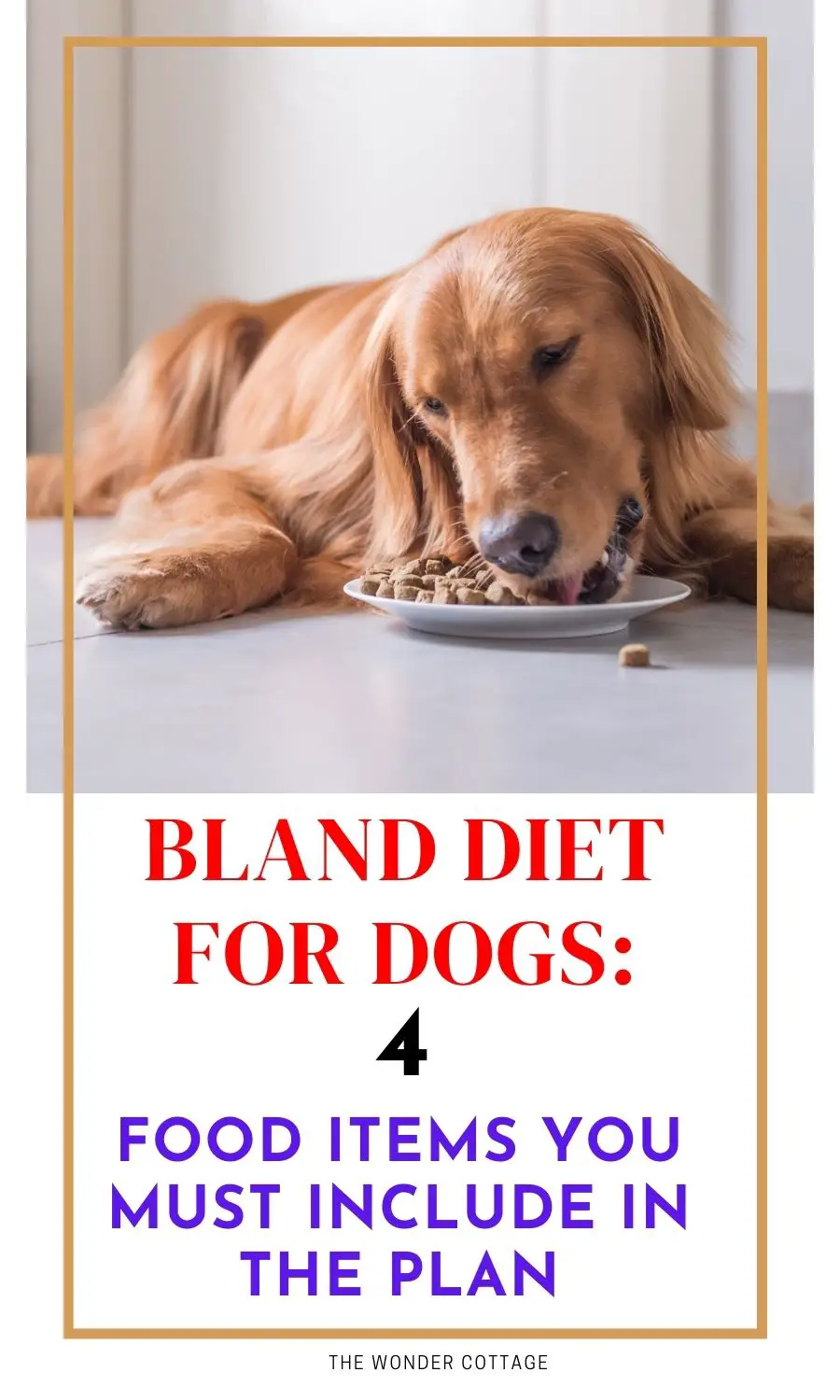 Bland Diet For Dogs: 4 Food Items You Must Include In The Plan