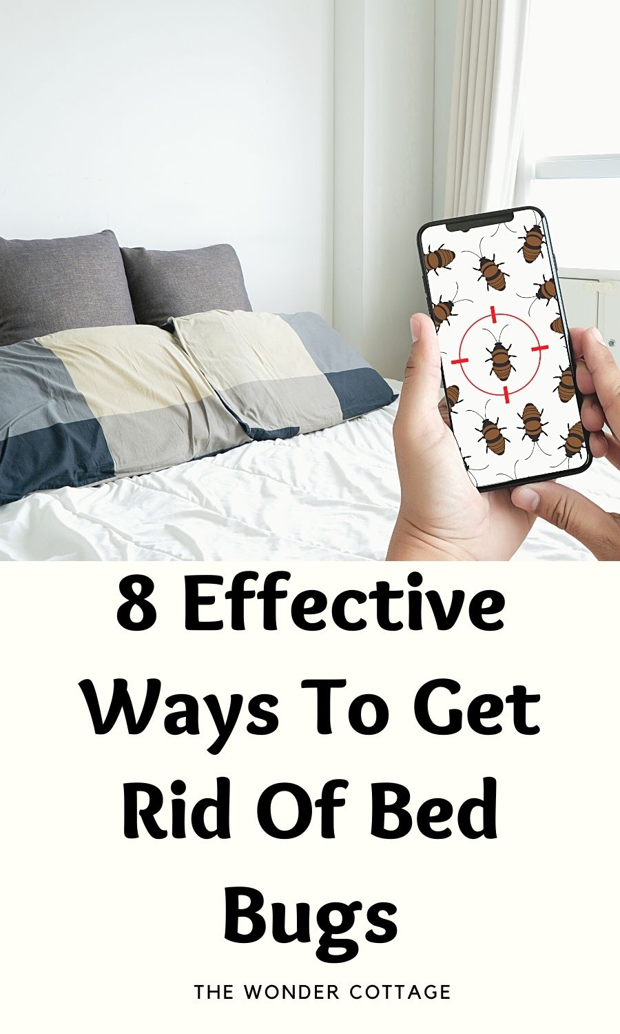 8 effective ways to get rid of bed bugs