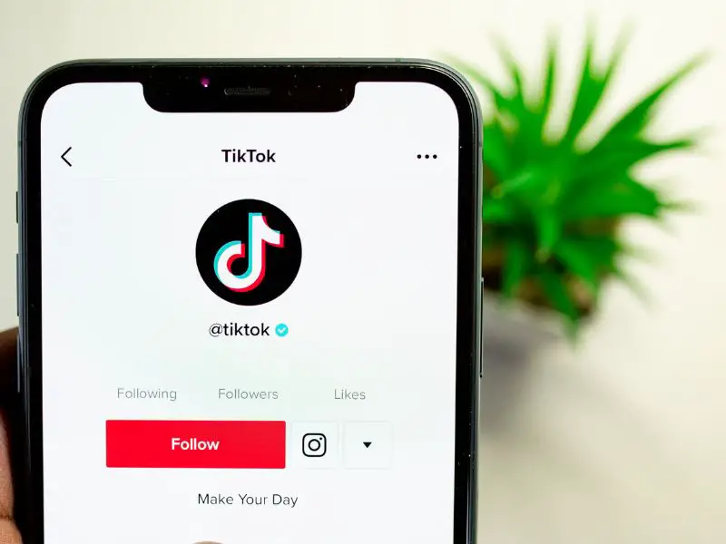 The Types Of Businesses That Can Use TikTok