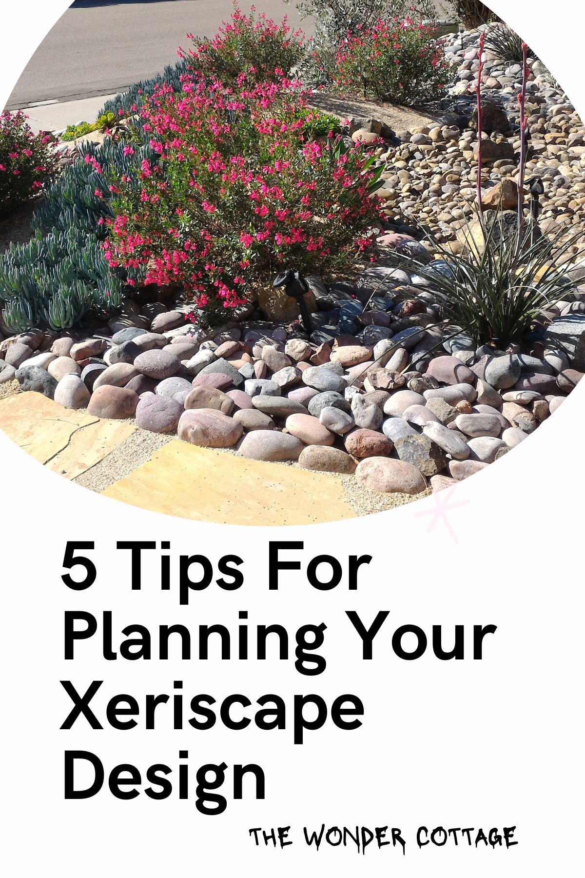 5 tips for planning your xeriscape design
