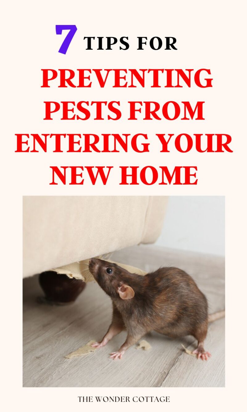 How To Prevent Pests From Entering Your New Home - The Wonder Cottage