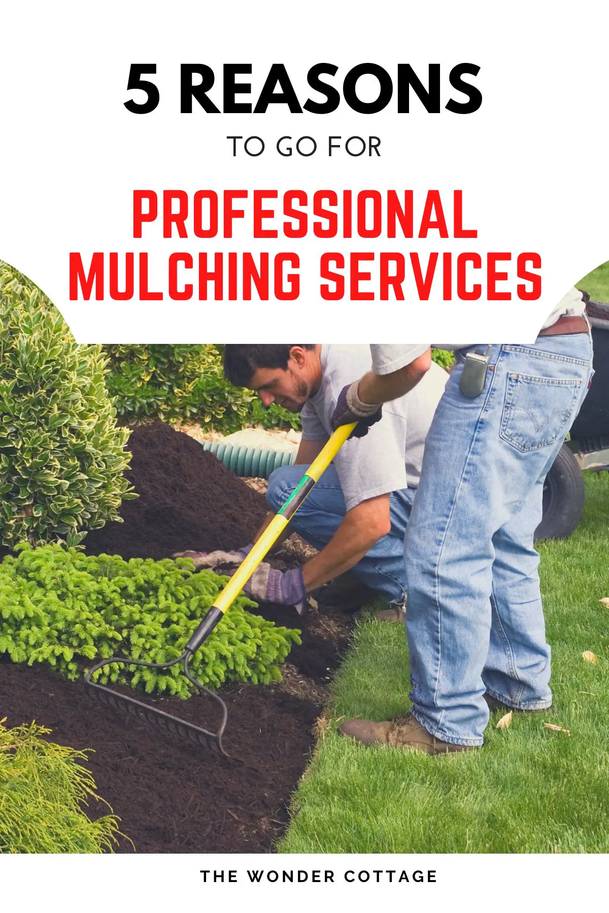 5 Major Reasons To Invest In Professional Mulching Services 