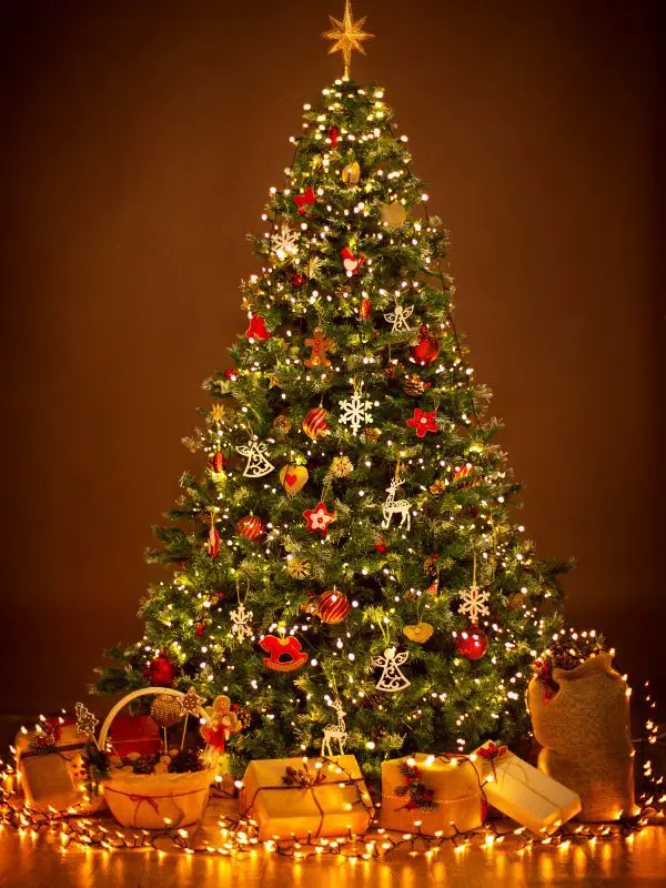 Put up a christmas tree