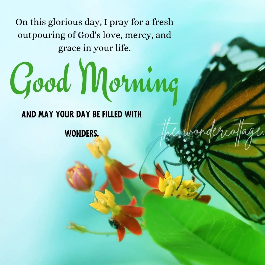 On this glorious day, I pray for a fresh outpouring of God's love, mercy, and grace in your life. Good morning and may your day be filled with wonders.