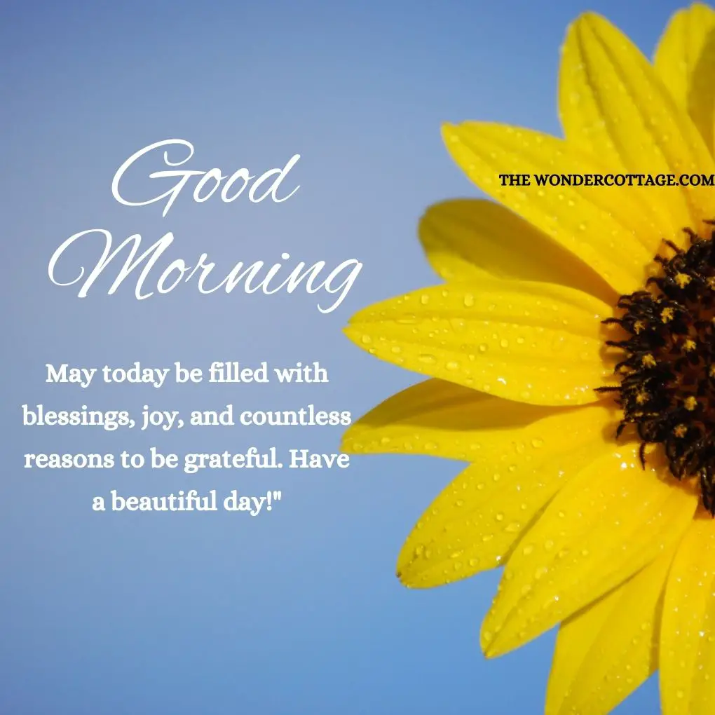 "Good morning! May today be filled with blessings, joy, and countless reasons to be grateful. Have a beautiful day!"
