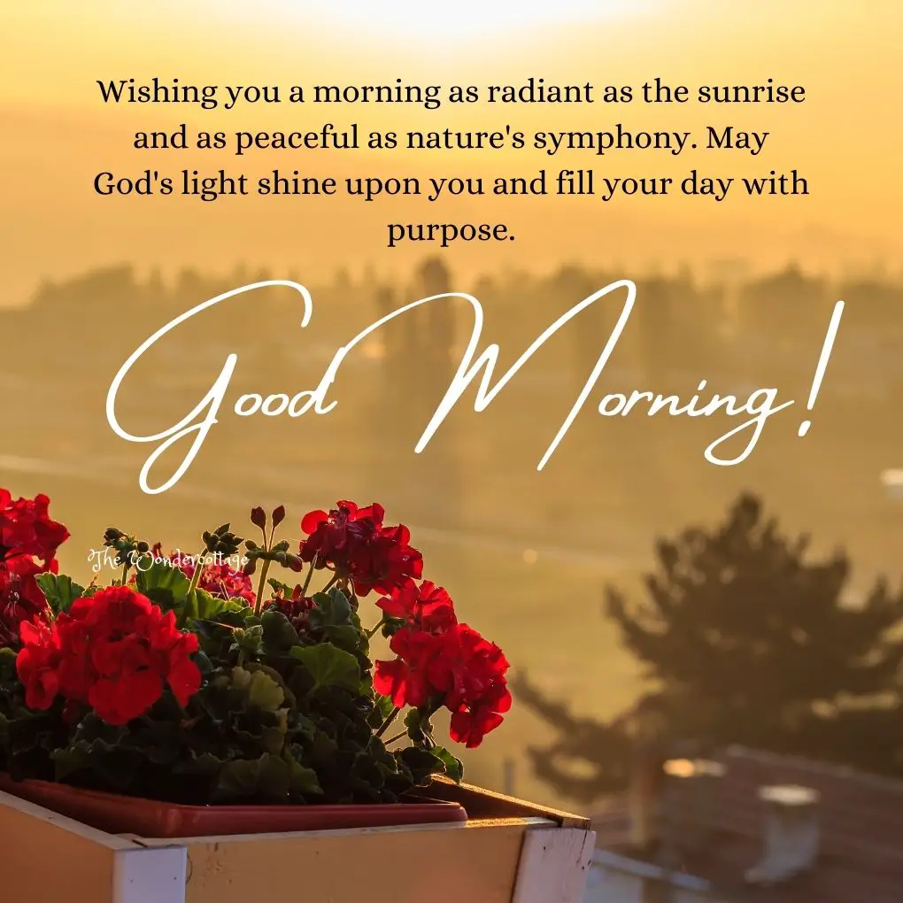 "Wishing you a morning as radiant as the sunrise and as peaceful as nature's symphony. May God's light shine upon you and fill your day with purpose. Good morning!"