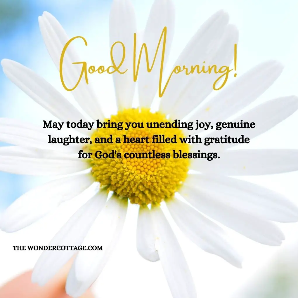 "Good morning! May today bring you unending joy, genuine laughter, and a heart filled with gratitude for God's countless blessings.