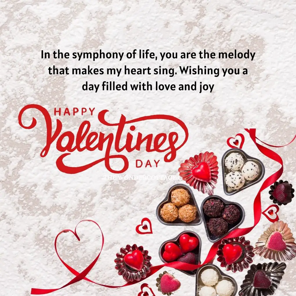 In the symphony of life, you are the melody that makes my heart sing. Wishing you a day filled with love and joy, Happy Valentine's Day! Valentine's Messages
