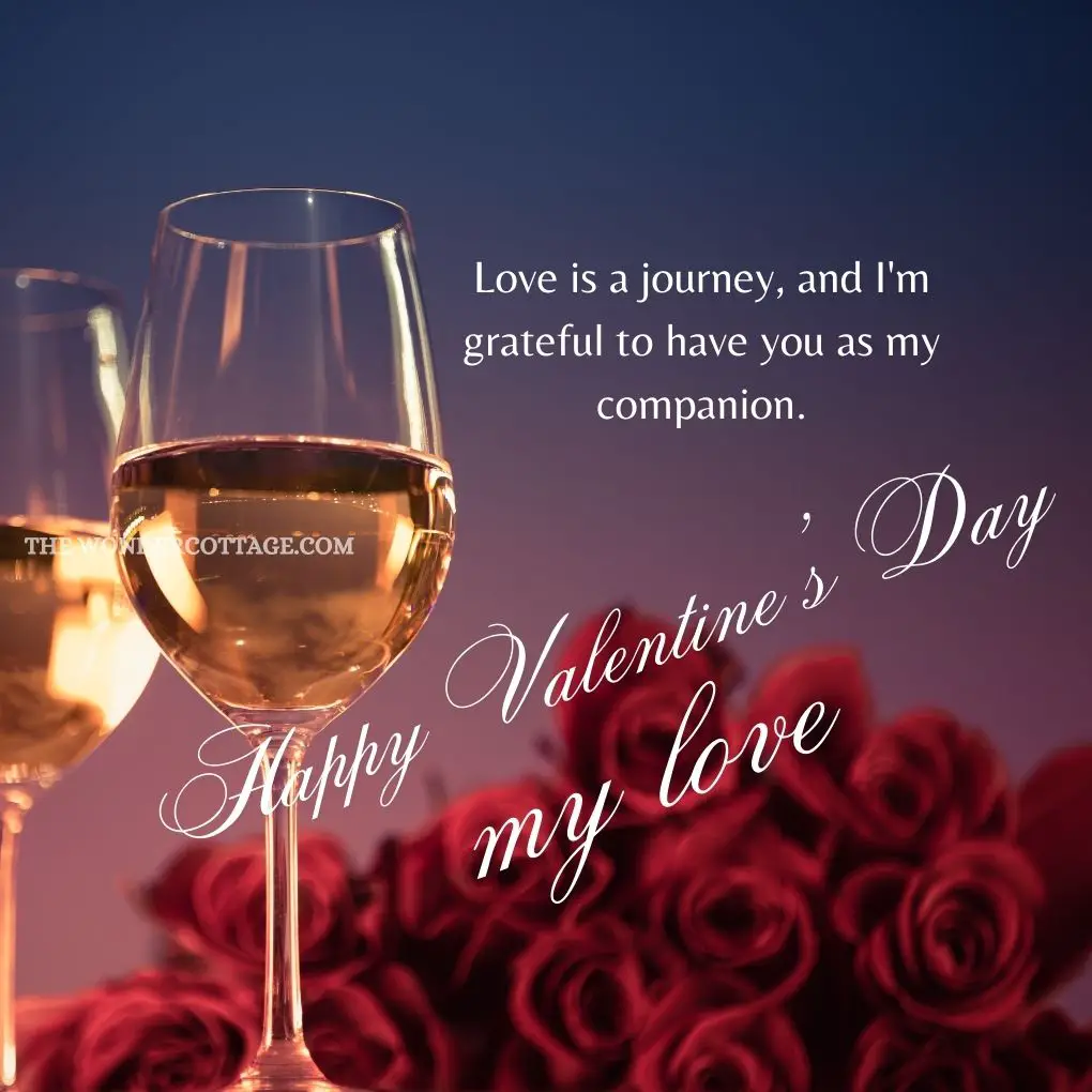 Love is a journey, and I'm grateful to have you as my companion. Happy Valentine's Day, my love. Valentine's Messages