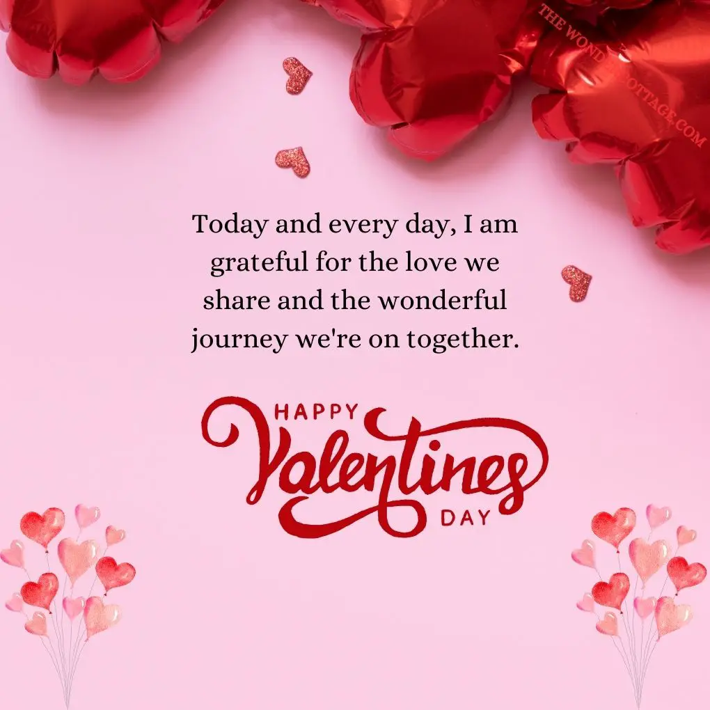 Happy Valentine's Day! Today and every day, I am grateful for the love we share and the wonderful journey we're on together.