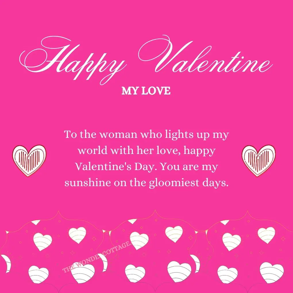 To the woman who lights up my world with her love, Happy Valentine's Day. You are my sunshine on the gloomiest days.