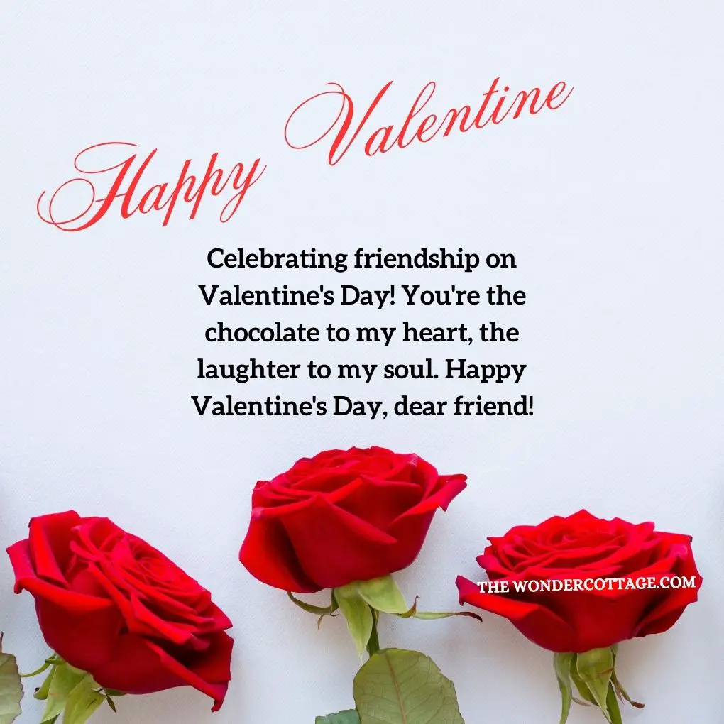 Celebrating friendship on Valentine's Day! You're the chocolate to my heart, the laughter to my soul. Happy Valentine's Day, dear friend!