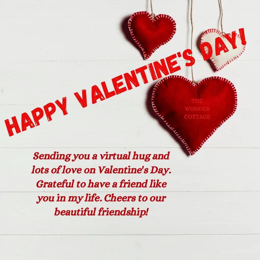 Sending you a virtual hug and lots of love on Valentine's Day. Grateful to have a friend like you in my life. Cheers to our beautiful friendship!