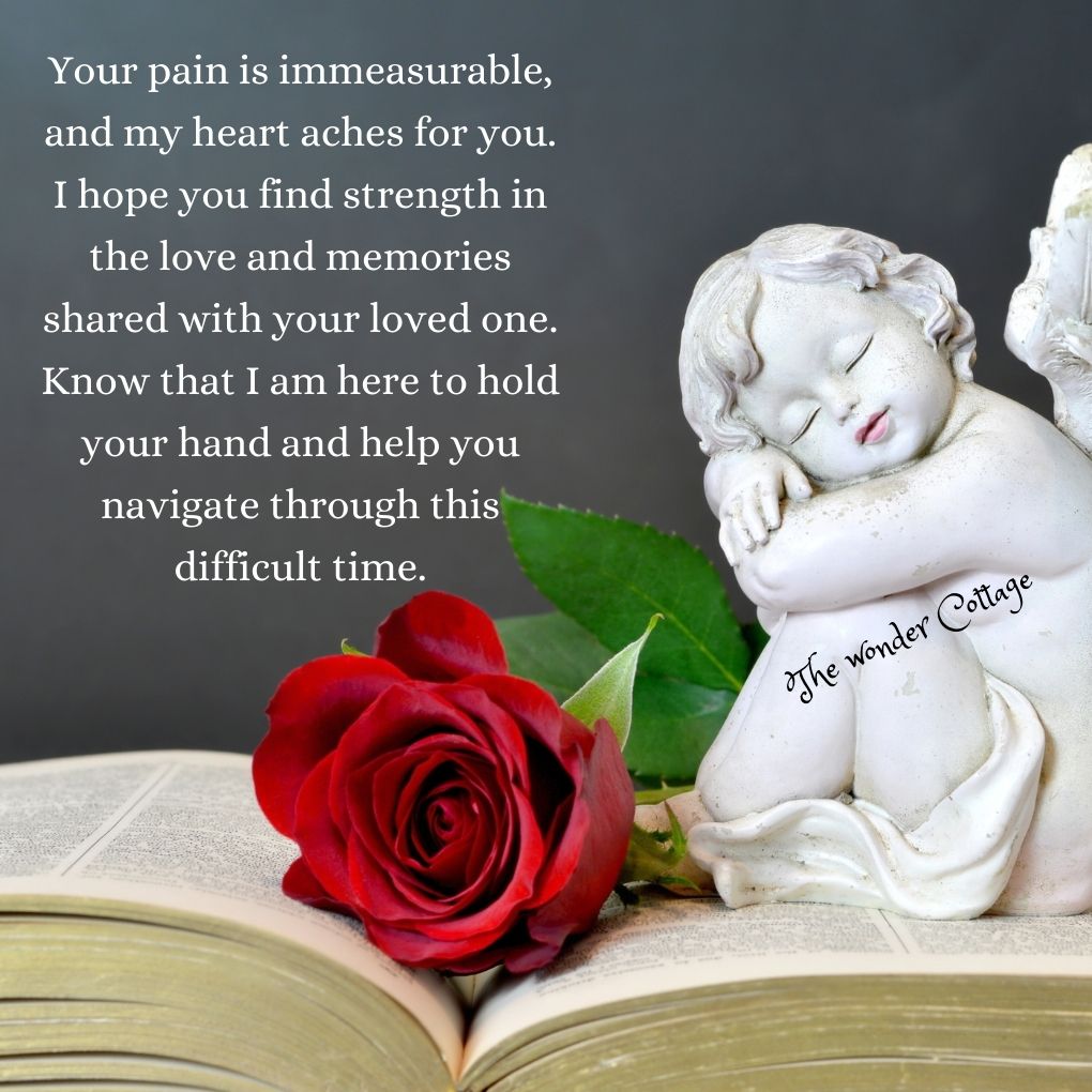 Your pain is immeasurable, and my heart aches for you. I hope you find strength in the love and memories shared with your loved one. Know that I am here to hold your hand and help you navigate through this difficult time.