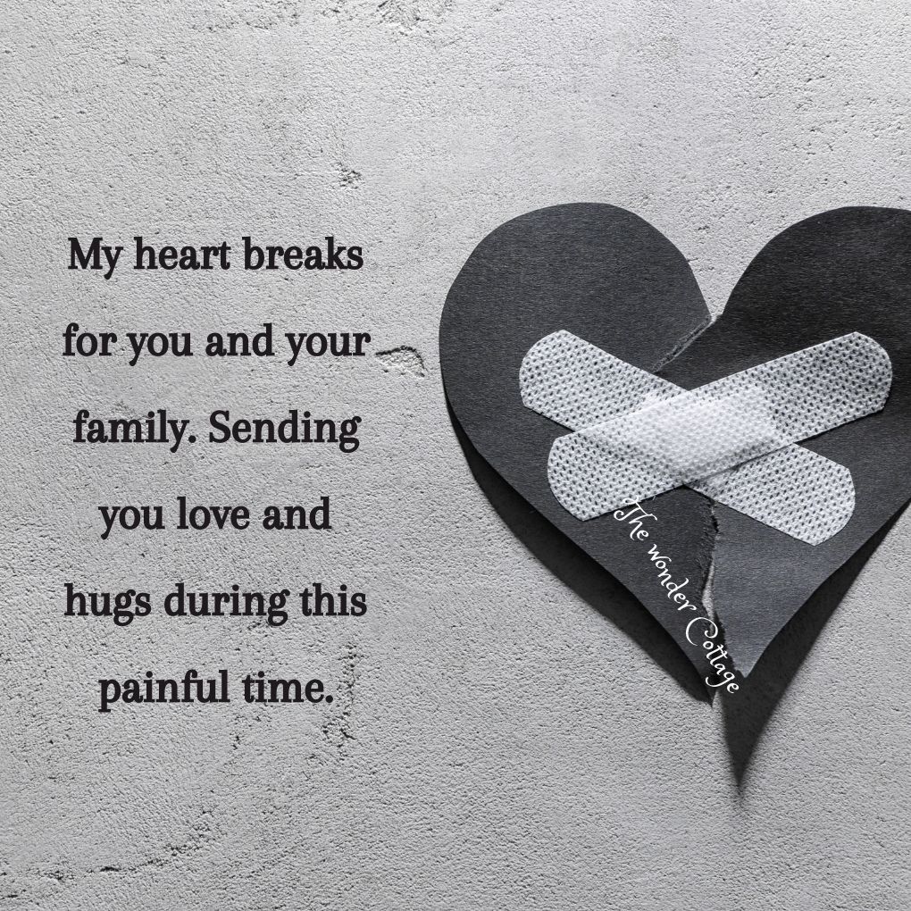 My heart breaks for you and your family. Sending you love and hugs during this painful time.