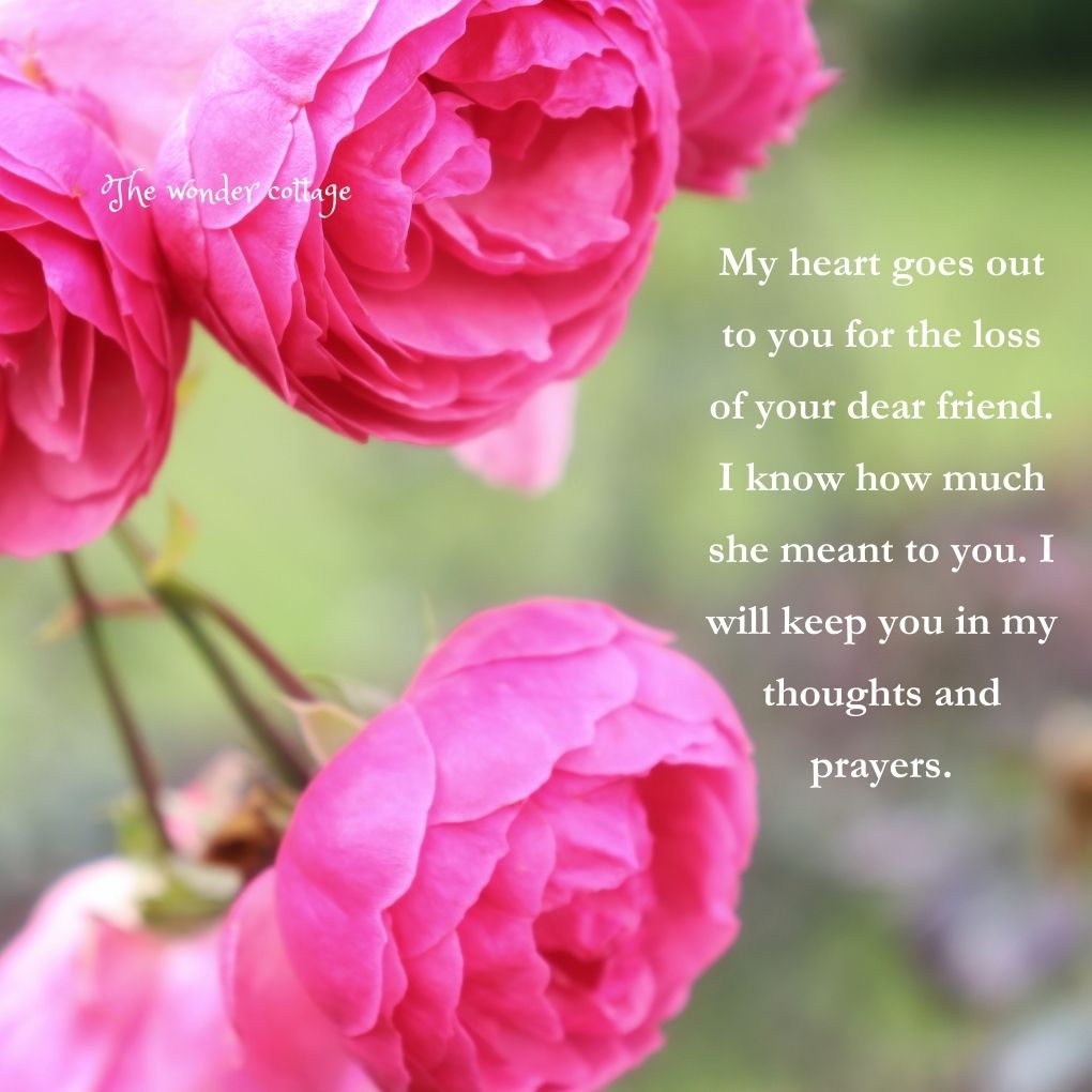 My heart goes out to you for the loss of your dear friend. I know how much she meant to you. I will keep you in my thoughts and prayers.
