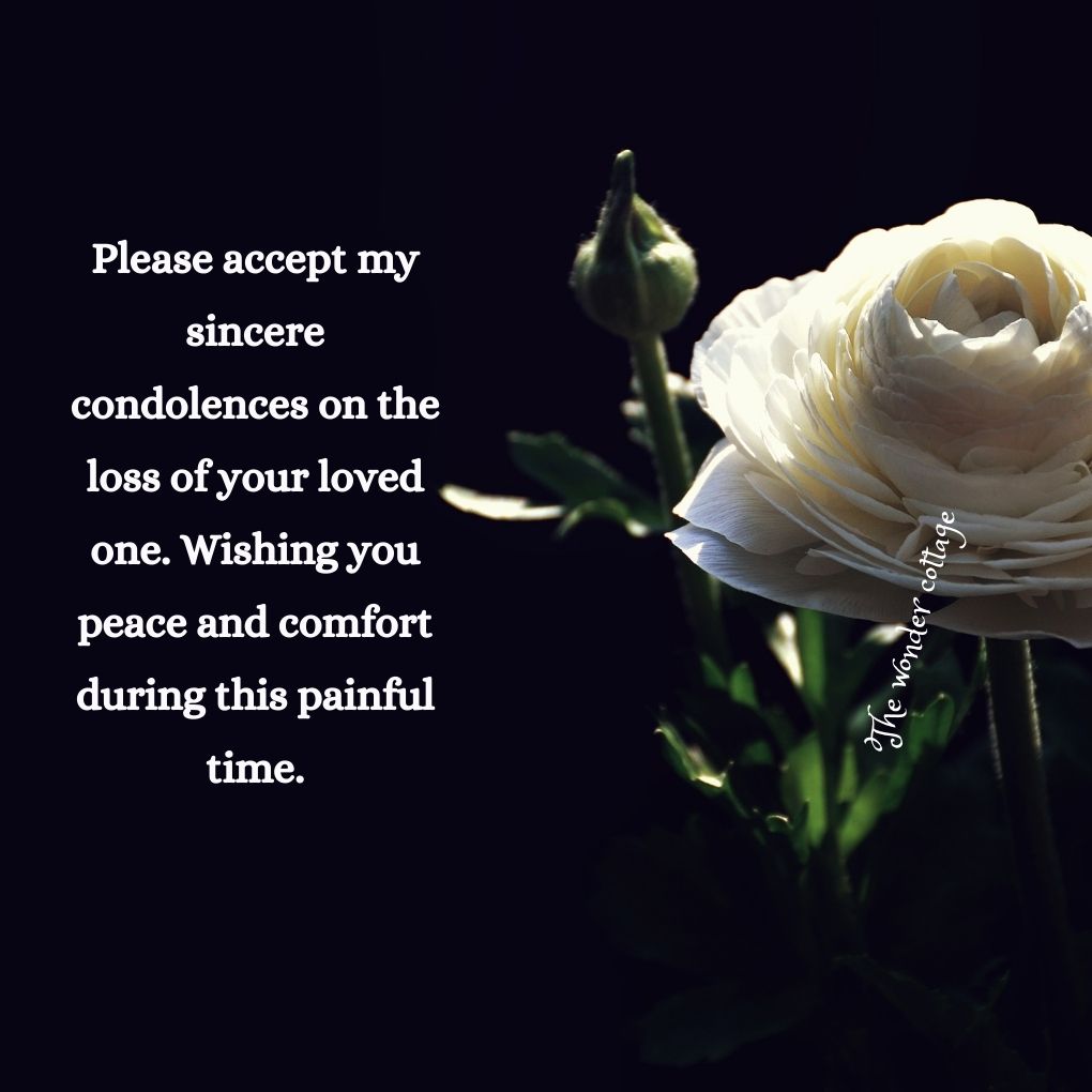 Please accept my sincere condolences on the loss of your loved one. Wishing you peace and comfort during this painful time.