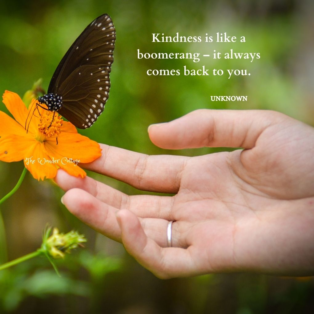 Kindness is like a boomerang – it always comes back to you.
Unknown