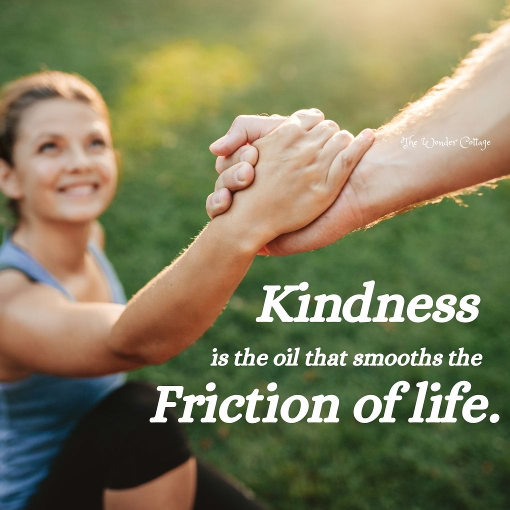 Kindness is the oil that smooths the friction of life.