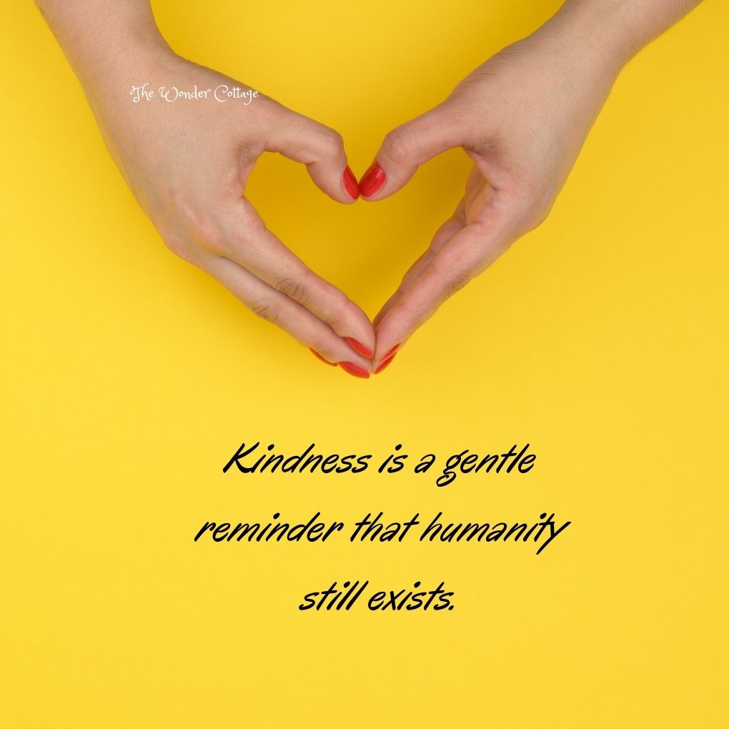 Kindness is a gentle reminder that humanity still exists.