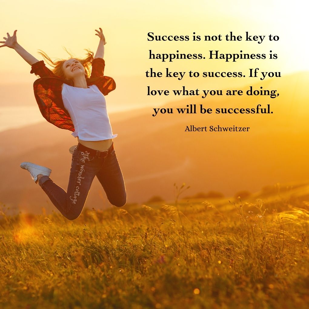 Success is not the key to happiness. Happiness is the key to success. If you love what you are doing, you will be successful. - Albert Schweitzer